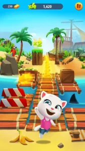 cat runner min