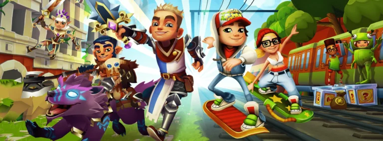 Description about Developer